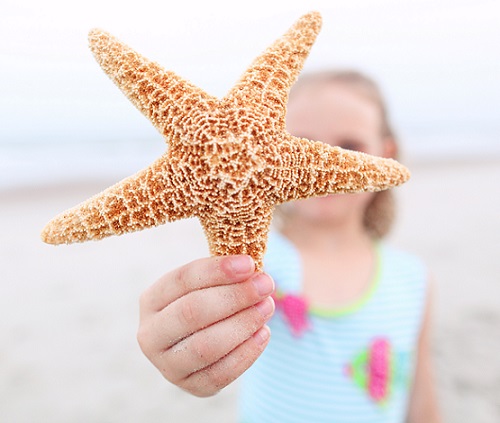 Girl holding starfish